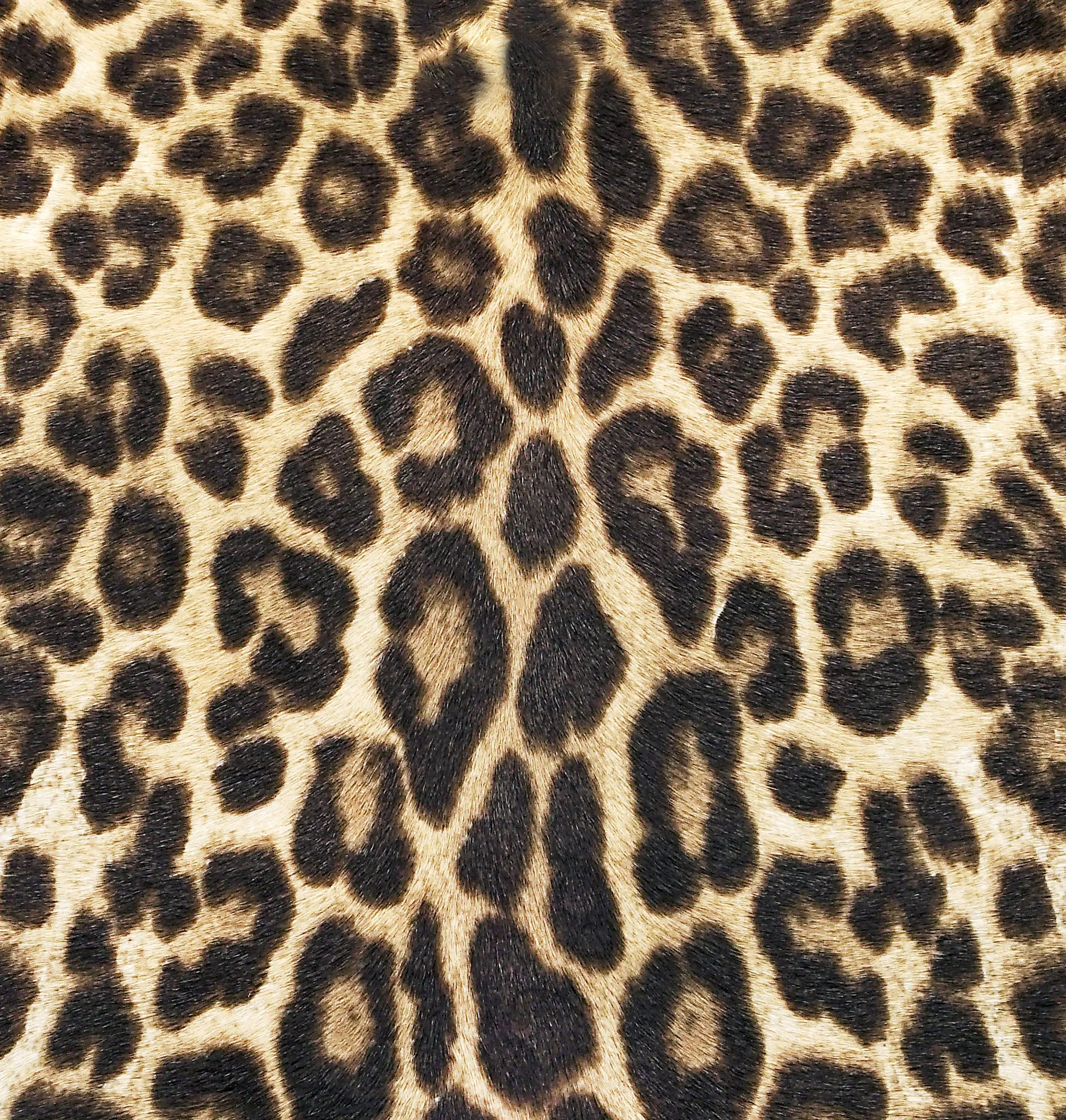 IBBIE BAG LEOPARD